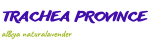 Trachea Province